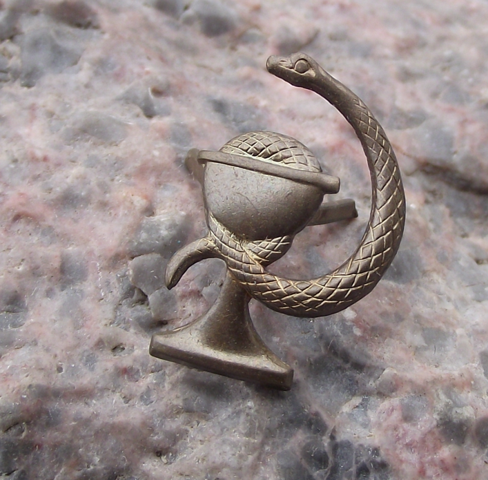Czechoslovakia Army CSLA Uniform Insignia Medical Corps Snake Badge
