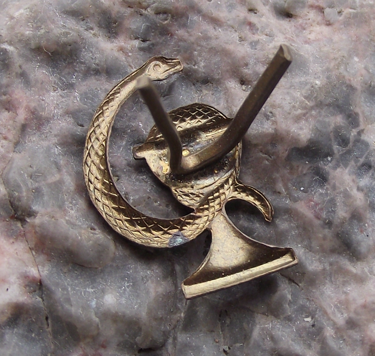 Czechoslovakia Army CSLA Uniform Insignia Medical Corps Snake Badge