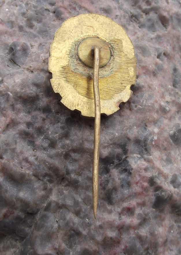 Vintage GST Gesellschaft Sport Technik East Germany DDR Army Rifle Pin Badge