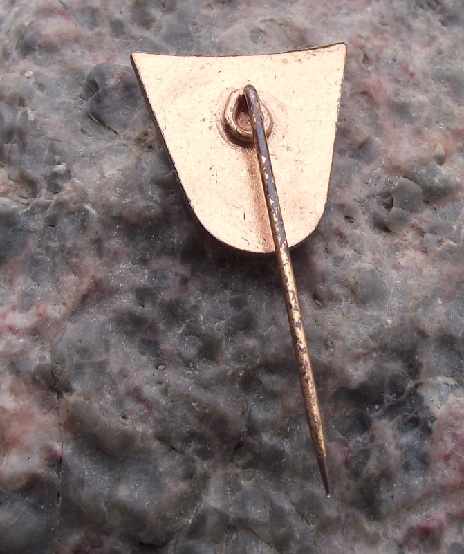 Vintage NVA East German Peoples Army Protecting Workers Farmers Pin Badge - Badgecrazy