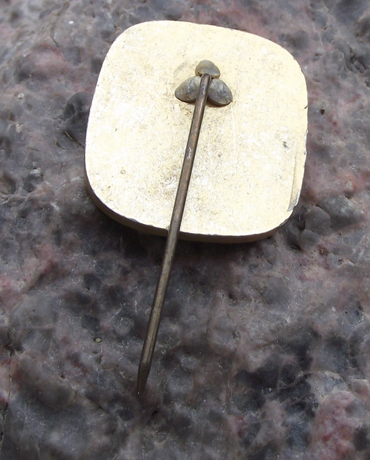 1966 German DDR GDR 17th Anniversary East Germany Pin Badge - Badgecrazy