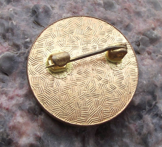 1979 CSSZ CSZ Czechoslovakia Womens Union Conference Pin Badge - Badgecrazy