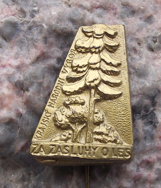 Vintage Czech Forestry For Services to the Forest Award Pin Badge