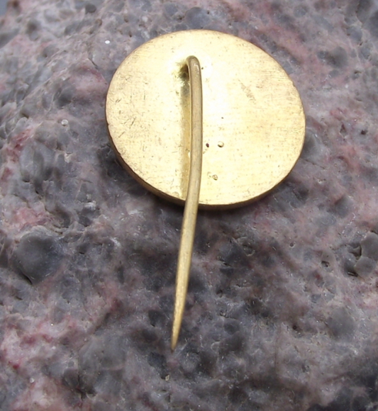Vintage CSRS CRS Fishing Association Cesky Krumlov Czech Pin Badge