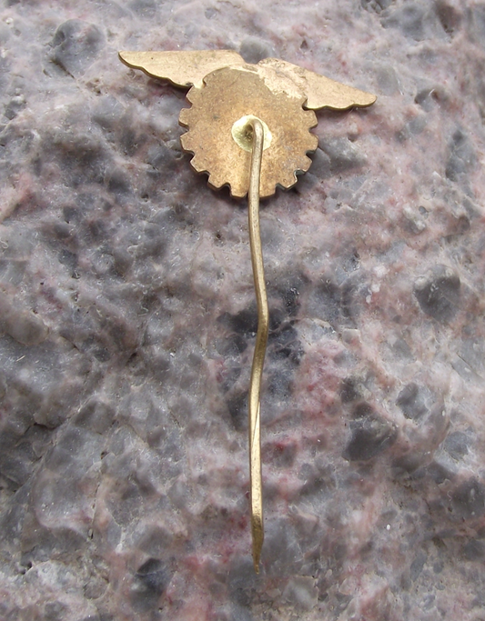 Vintage Czech Transport Workers Trade Union ROH Pilot Wings Pin Badge