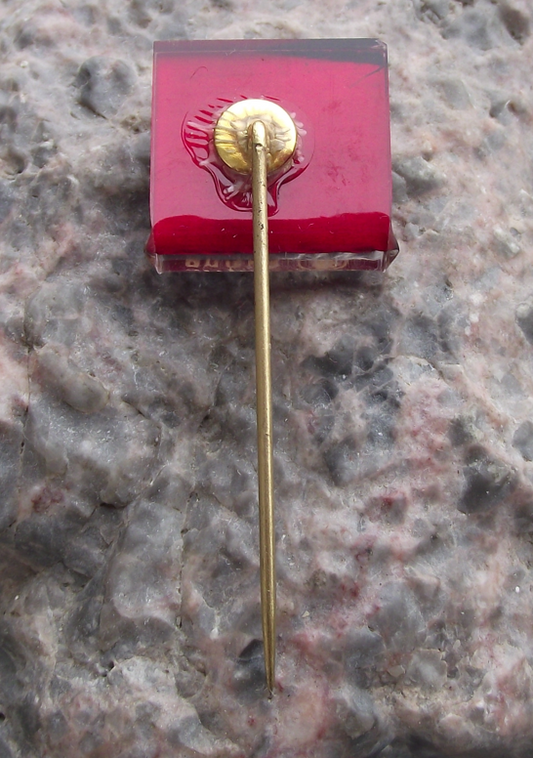 1966 Skoda Paris France Semaine Technique Technical Show Exhibition Pin Badge