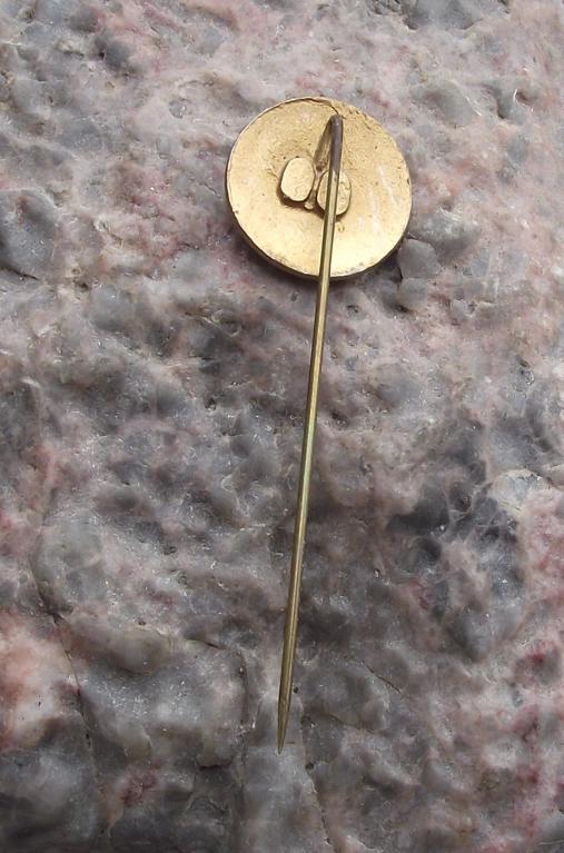 1950's Skoda Autos Cars Automobile Factory Winged Arrow Wheel Pin Badge