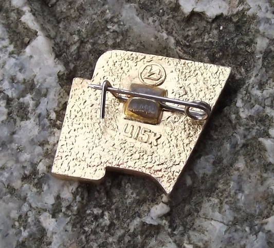 Vintage Communist Party Congress Soviet Union Russian KNCC Lenin Pin Badge - Badgecrazy