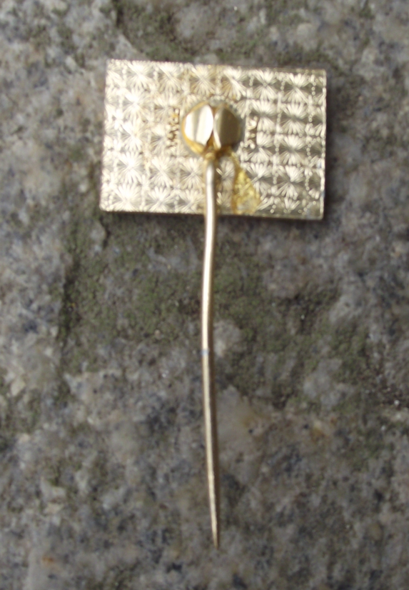 1972 Soviet Union 50th Anniversary CCCP Hammer and Sickle Logo Pin Badge