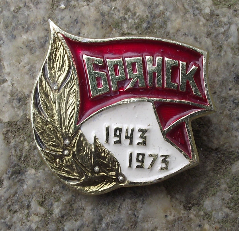 1973 Bryansk Military Victory Russian Glory Day WW2 Advance Pin Badge