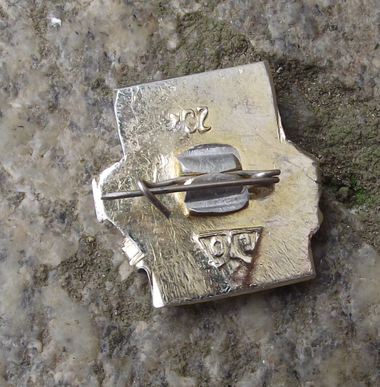 1972 Soviet 50 Years CCCP Russian Landmass Map Anniversary Pin Badge - Badgecrazy