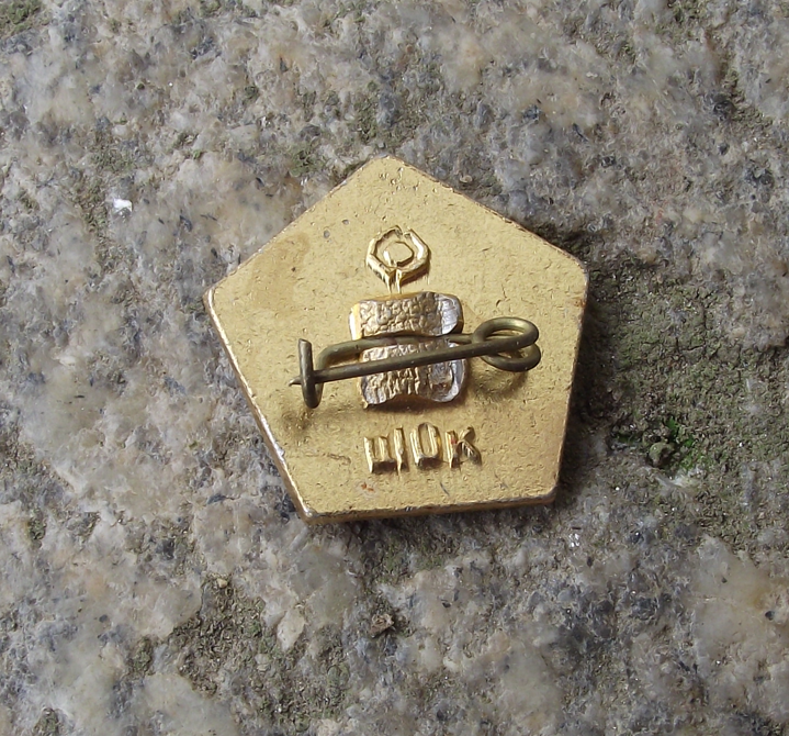 Vintage Soviet Union Russian CCCP Icon Pentagon Pin Badge