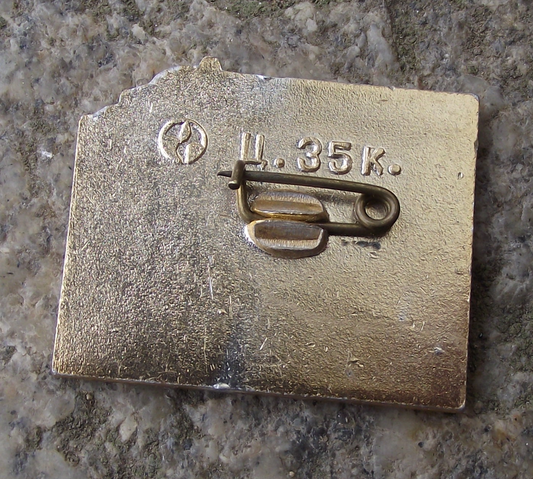 Vintage Peter the Great Russian Botik Boat Sailing Ship Pin Badge - Badgecrazy