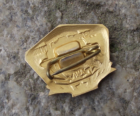 Vintage Atomic Icebreaker Lenin Ship Soviet Union Russian Pin Badge - Badgecrazy