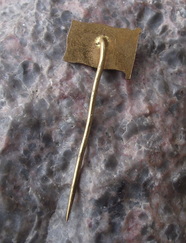 Vintage Czechoslovakia Maritime Navigation Company Flag Pin Badge