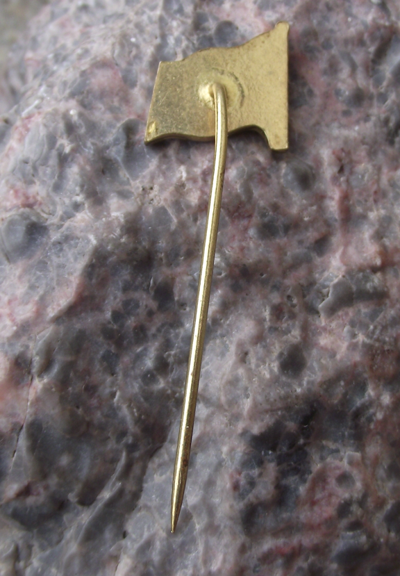 Vintage Czechoslovakia CSPD Danube River Shipping Company Flag Pin Badge