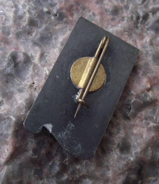 Vintage Estonia Tallinn Beautiful Woman Holding Palm and Plant Pin Badge - Badgecrazy