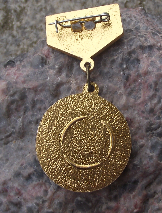 Vintage Soviet Union Anniversary of Victory WWII 2 Great War Medal Pin Badge