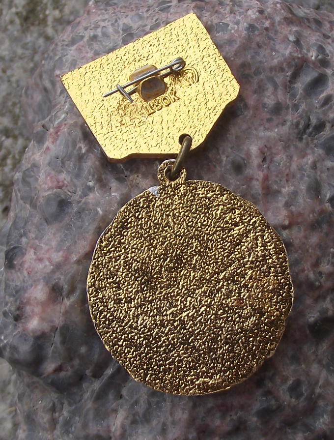1982 Soviet Union 60th Anniversary CCCP Russian Medal Pin Badge