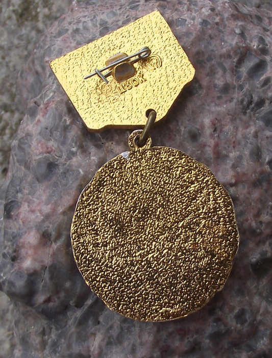 1982 Soviet Union 60th Anniversary CCCP Russian Medal Pin Badge - Badgecrazy