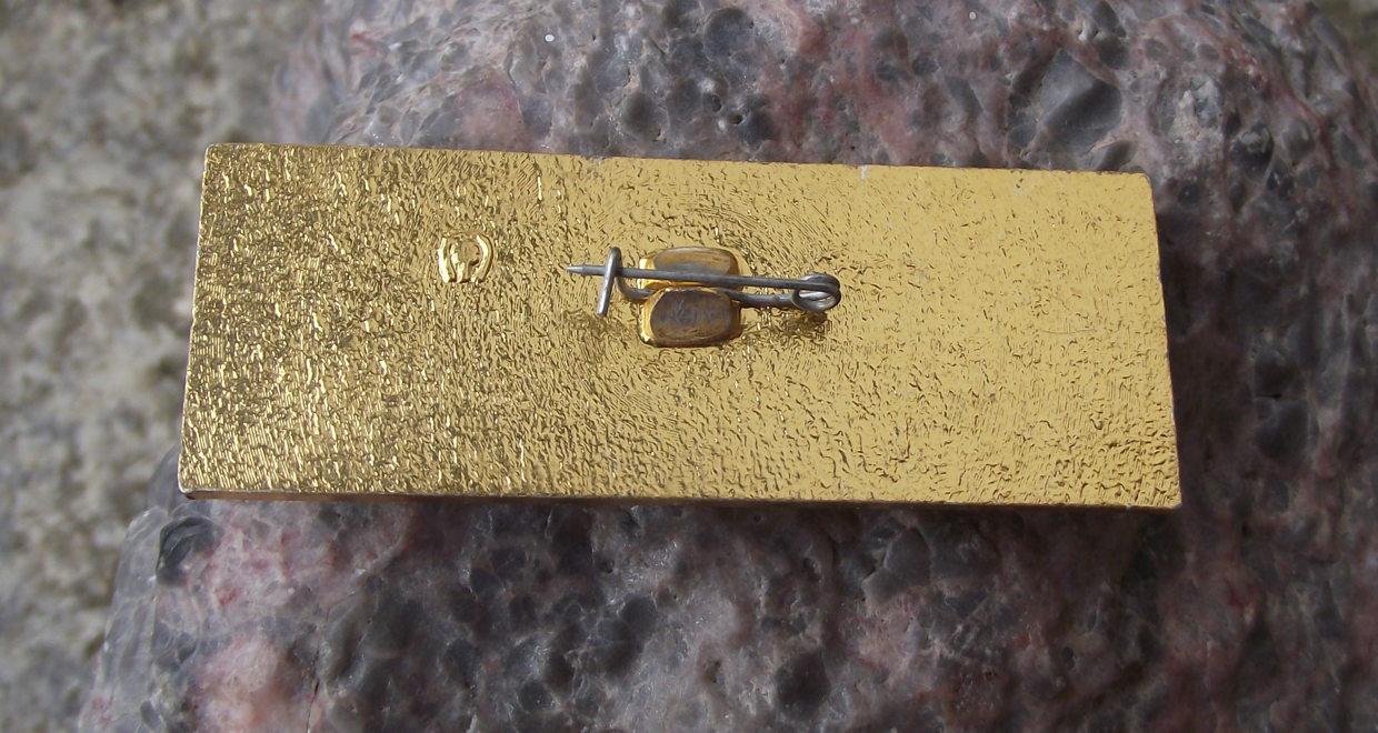 Vintage Russian Destroyer Gnevny World War 2 II Soviet Union Ship Pin Badge