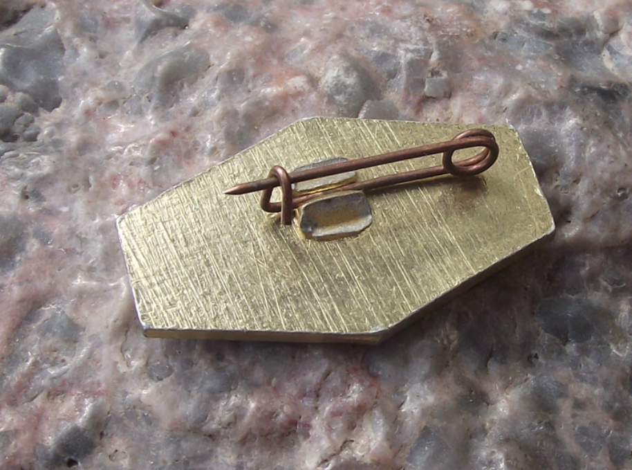 Vintage Soviet Union Passenger Cruise Ship Victory Pin Badge