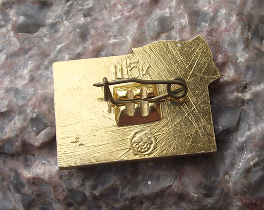 Vintage Russian Destroyer Gnevny World War 2 II Soviet Union Ship Pin Badge - Badgecrazy