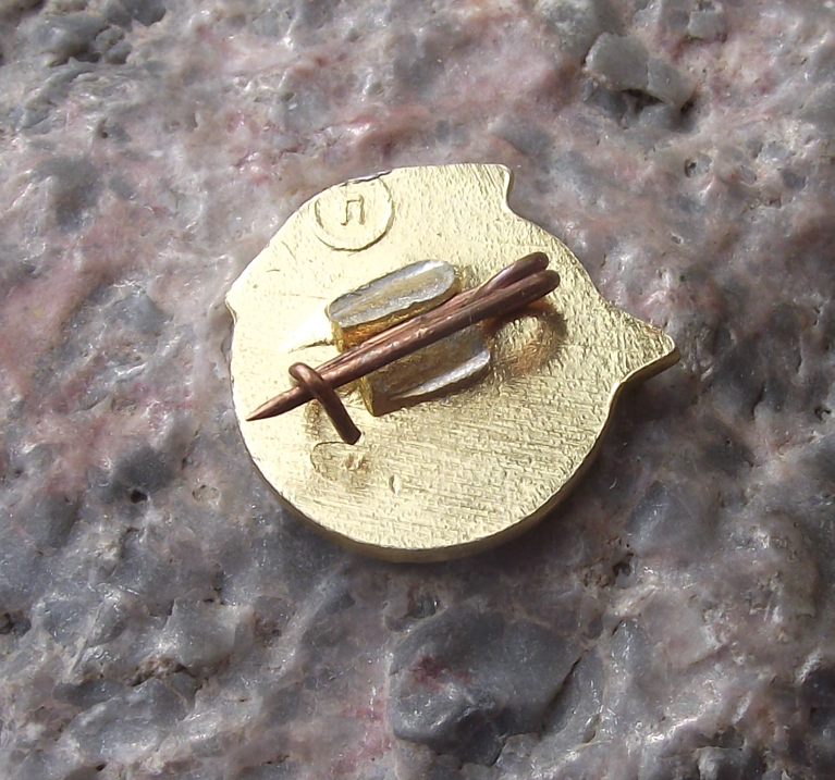 Vintage Russian Battle Cruiser Aurora Bolshevik Revolution Anniversary Pin Badge