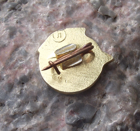 Vintage Russian Battle Cruiser Aurora Bolshevik Revolution Anniversary Pin Badge - Badgecrazy