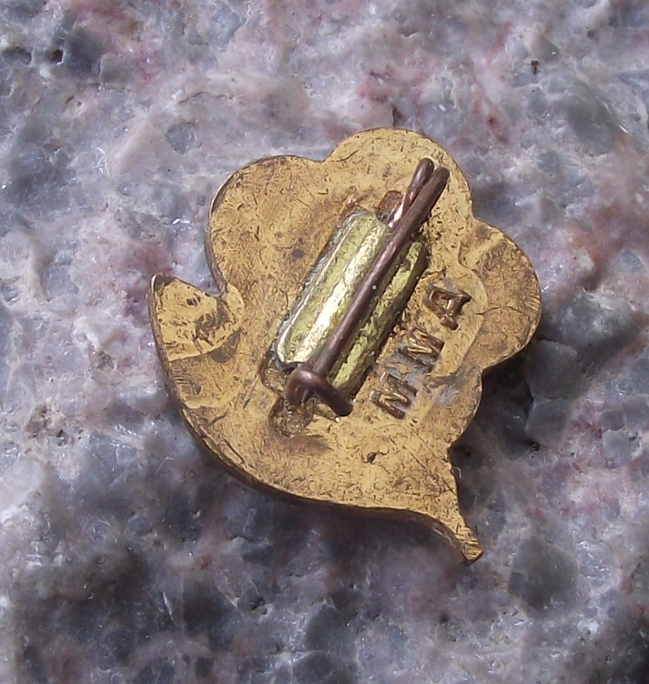 1957 Soviet Union Peace Flower WFDY World Festival Youth Pin Badge