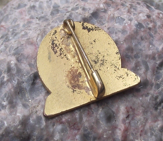 Vintage Cuban Alfabeticemos Cuba Literacy Campaign Pin Badge
