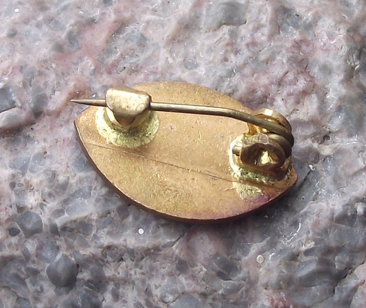 Vintage Cubatabaco Cuban Tobacco Company Leaf Pin Badge
