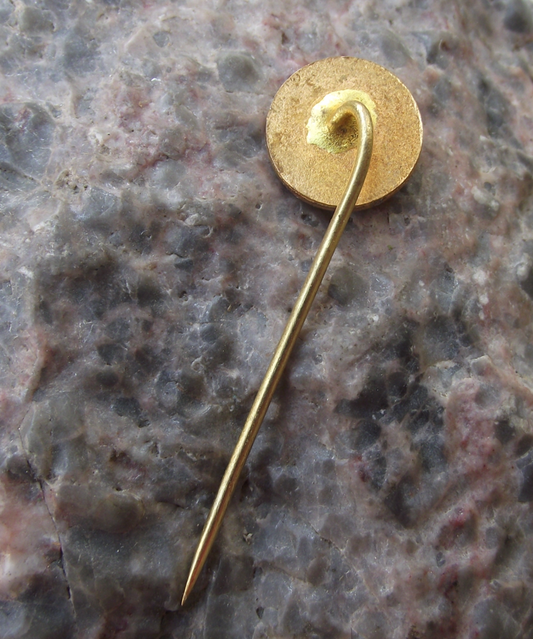 1969 TJ Zamrsk Football Club 50th Anniversary Blue Star Soccer Pin Badge - Badgecrazy