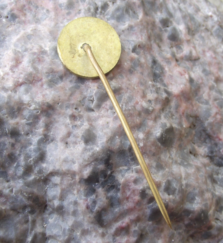 Vintage Meteor Praha 1884 Football Club Prague Green Star Pin Badge