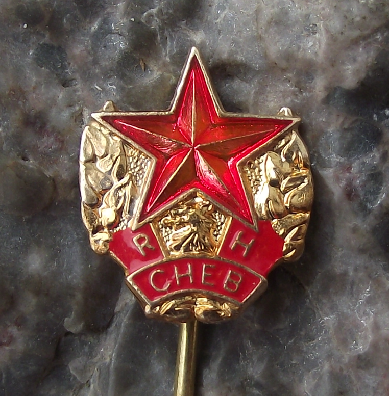 Vintage Ruda Hvezda Cheb Red Star Football Soccer Club Pin Badge