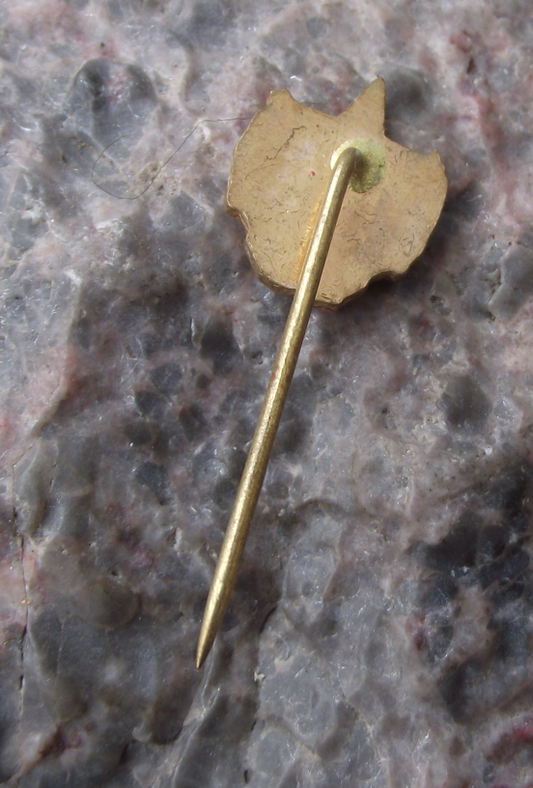 Vintage Ruda Hvezda Cheb Red Star Football Soccer Club Pin Badge - Badgecrazy