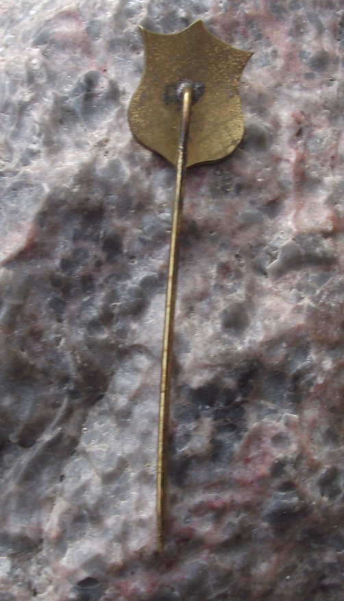 Vintage Esporte Clube Ypiranga Salvador Football Team Pin Badge - Badgecrazy