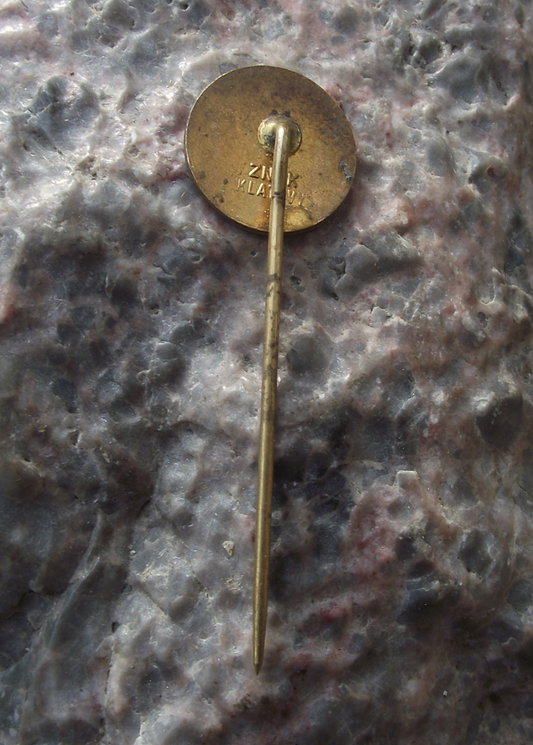 Vintage Feyenoord Rotterdam Football Club Soccer Pin Badge - Badgecrazy