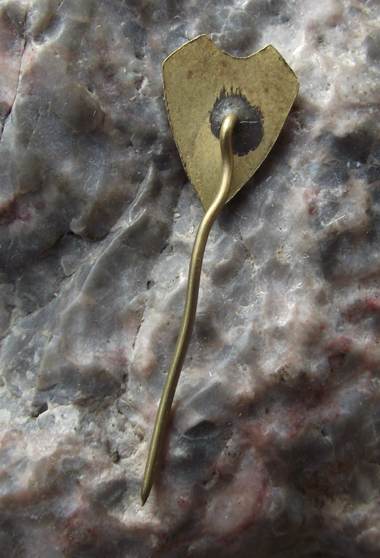 Vintage Galatasaray SK Turkey Football Team Pin Badge - Badgecrazy