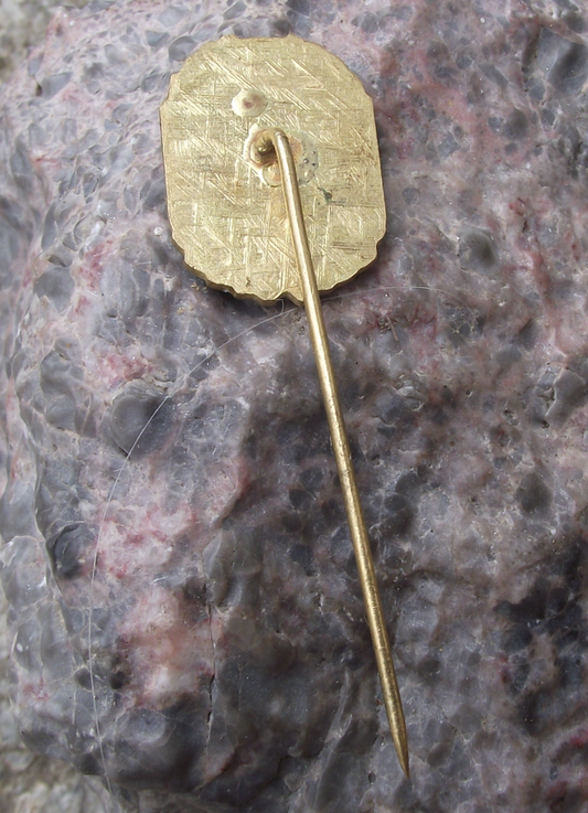 1995 Bohemians CKD Praha Football Club 90th Anniversary Pin Badge - Badgecrazy