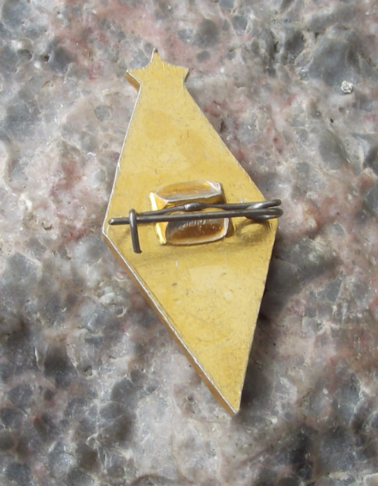 Vintage Dynamo Kiev Football Club Ukraine Soccer D Logo Pin Badge - Badgecrazy