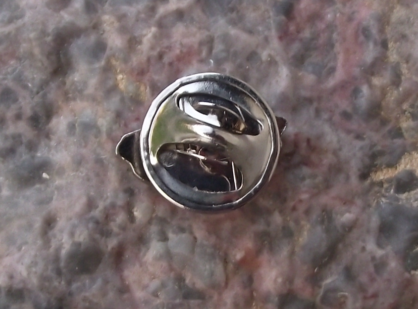 Czechia Czech Republic National Flag and Country Border Outline Pin Badge