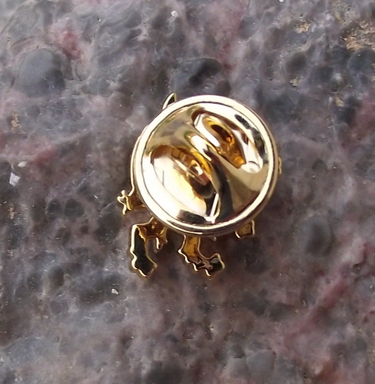 Czechia Czech Republic Rampant Lion National Coat of Arms Gold Color Pin Badge