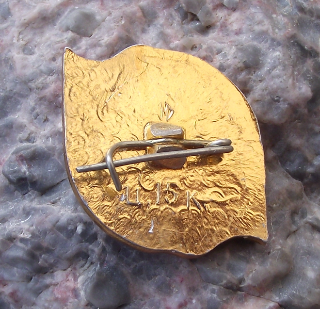 Vintage Soviet Union Russian Vanino Kholmsk Train Ferry Ship Pin Badge