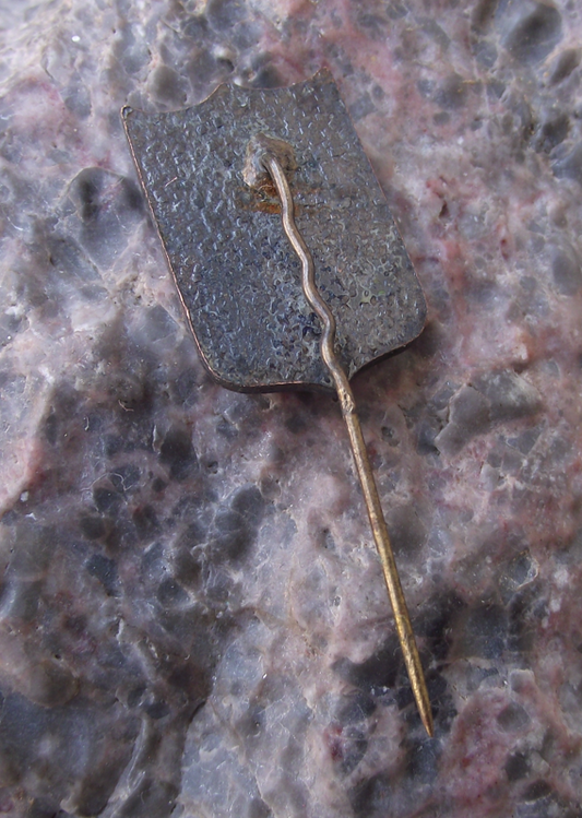 Vintage Latvia Rundale Palace Rundales Pils Latvian Tourist Souvenier Lion Pin Badge - Badgecrazy