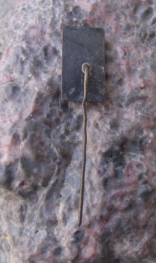 Vintage Latvia Sigulda Latvian Town Souvenier Pin Badge