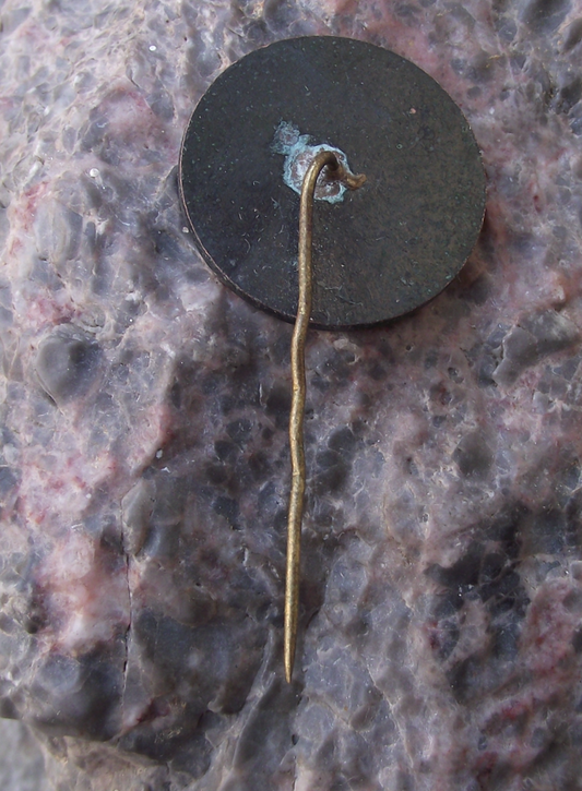 Vintage Latvia Riga Aleksandra Varti Gates of Alexander Latvian Souvenir Pin Badge - Badgecrazy