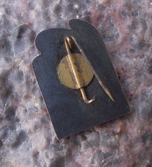 Vintage Vilsandi National Park Baltic Sea Resort Birds Logo Estonia Pin Badge - Badgecrazy