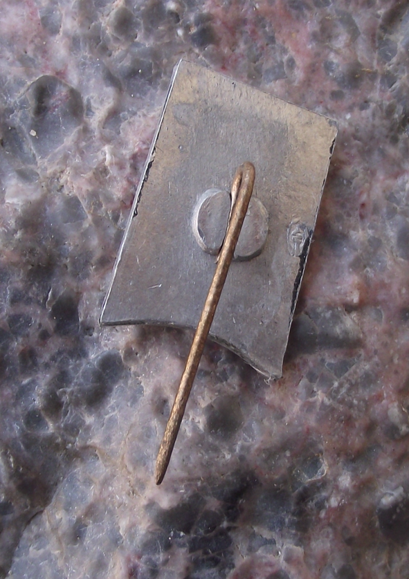 Vintage Lithuania Vilnius Lithuanian Capital City Pin Badge