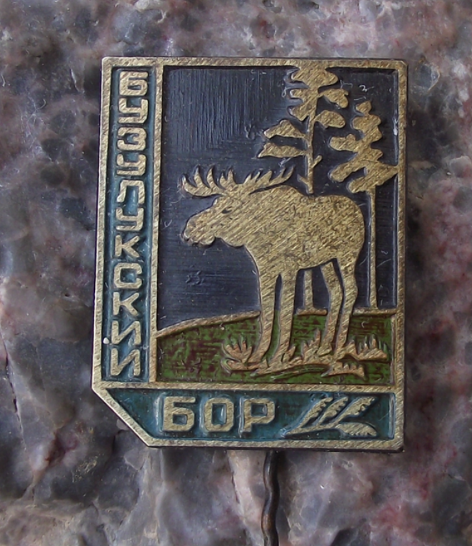 Vintage Russian Buzuluk Buzuluksky Bor National Park Moose Pin Badge